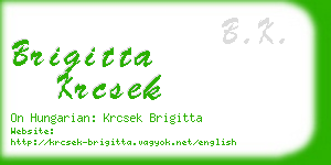 brigitta krcsek business card